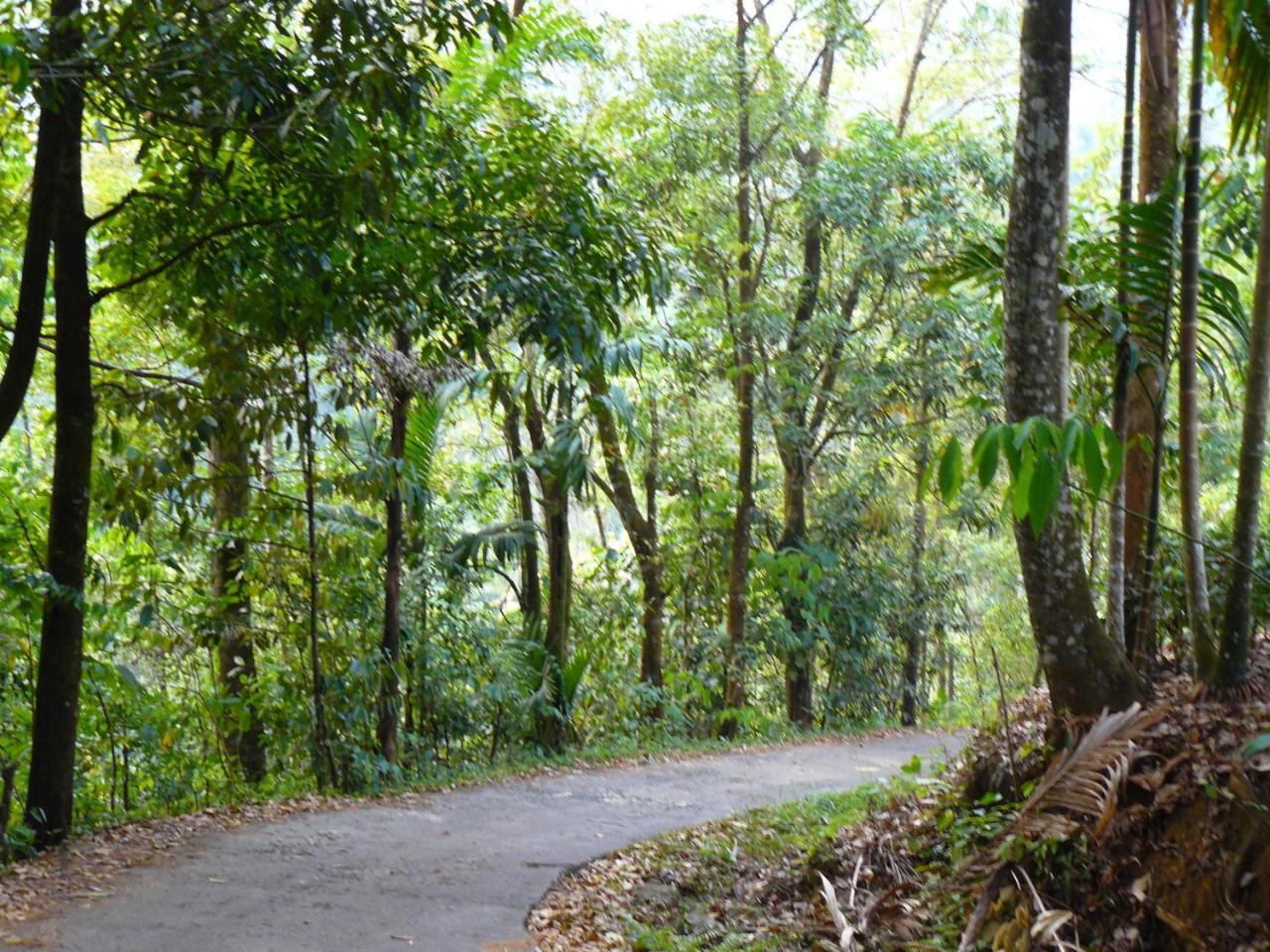 White Villa Kitulgala Exterior foto