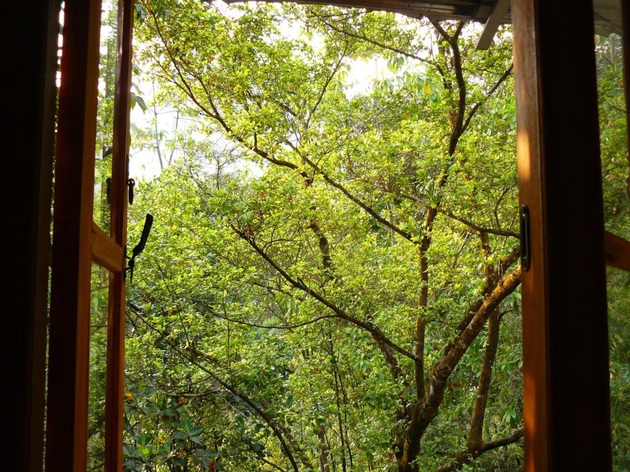 White Villa Kitulgala Exterior foto